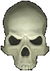 skull